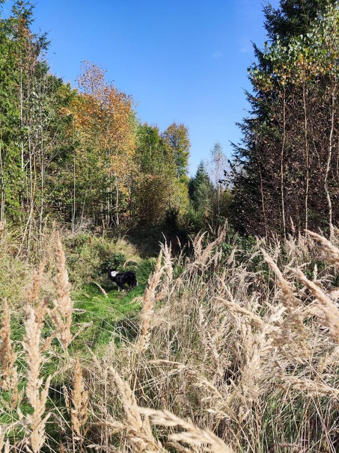 Matejovec 109 & Ubytovani Na Statku Český Rudolec Eksteriør billede